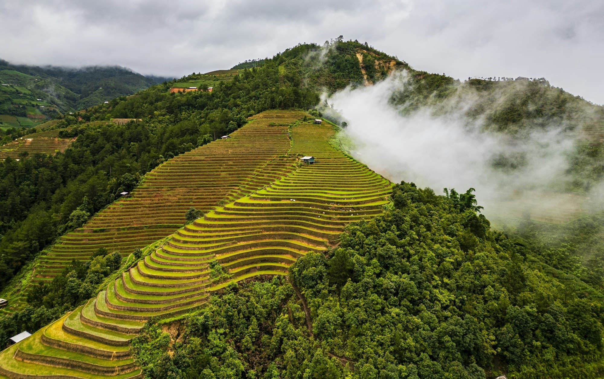 Terraced rice fields in Mù Cang Chải, Vietnam